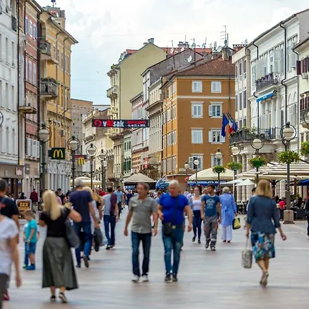 Lota 科斯特雷纳